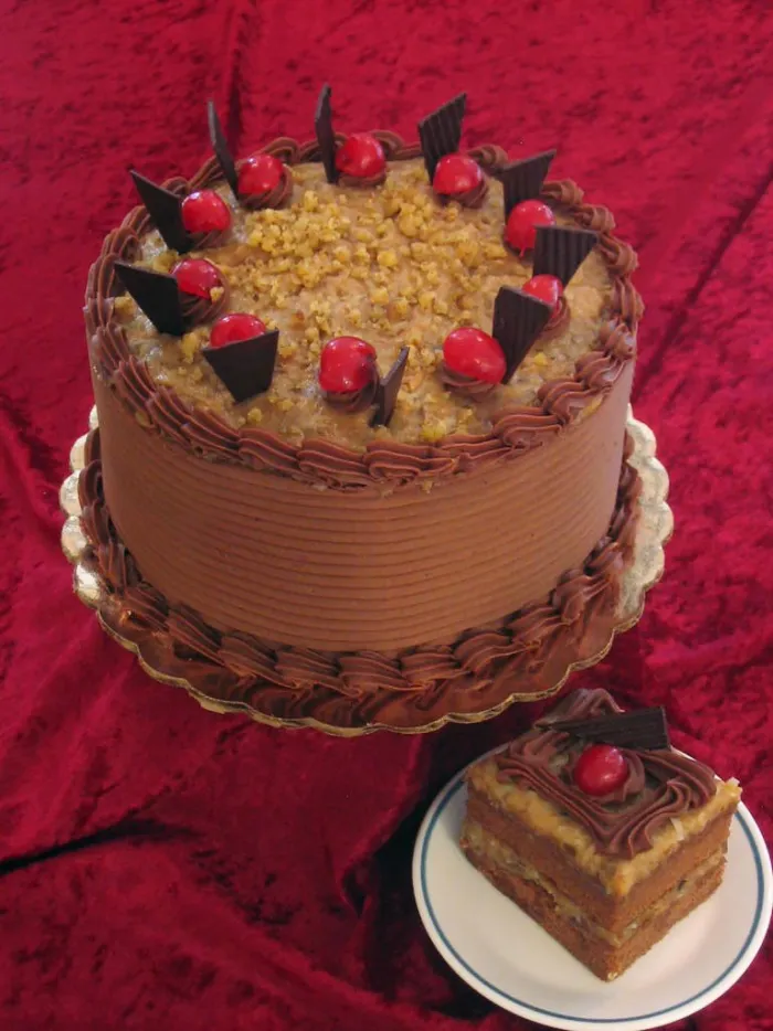 Dunkles Schokoladen-Dessert mit Nüssen
